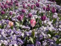 0929-1625 Floriade (1050023)